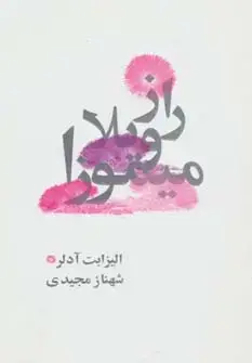 جلد کتاب راز ویلا میموزا