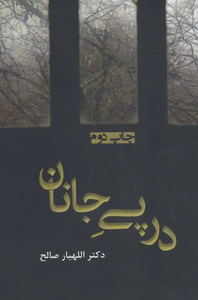 جلد کتاب در پی جانان