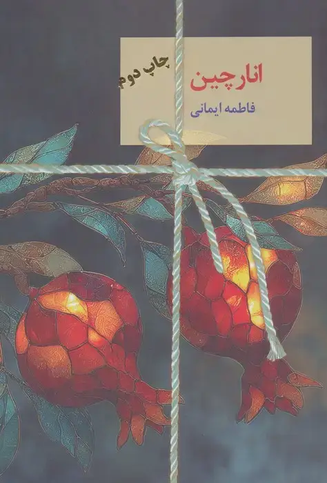 جلد کتاب انارچین