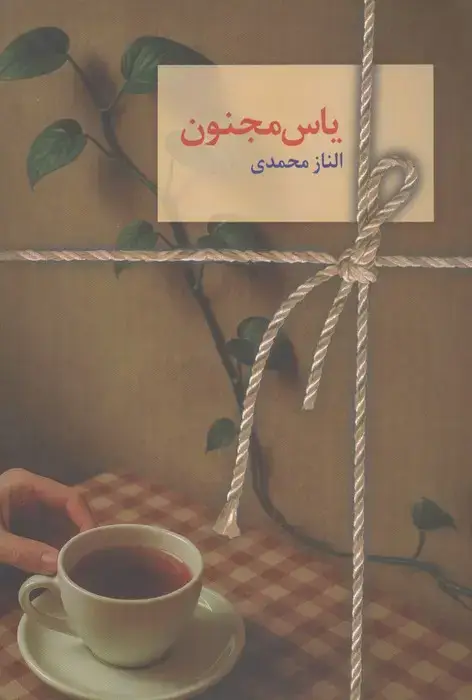 جلد کتاب یاس مجنون (2جلدی)