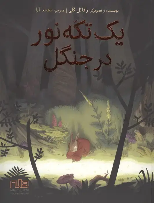 جلد کتاب یک تکه نور در جنگل
