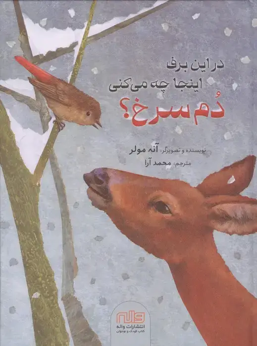 جلد کتاب در این برف اینجا چه می کنی دم سرخ؟