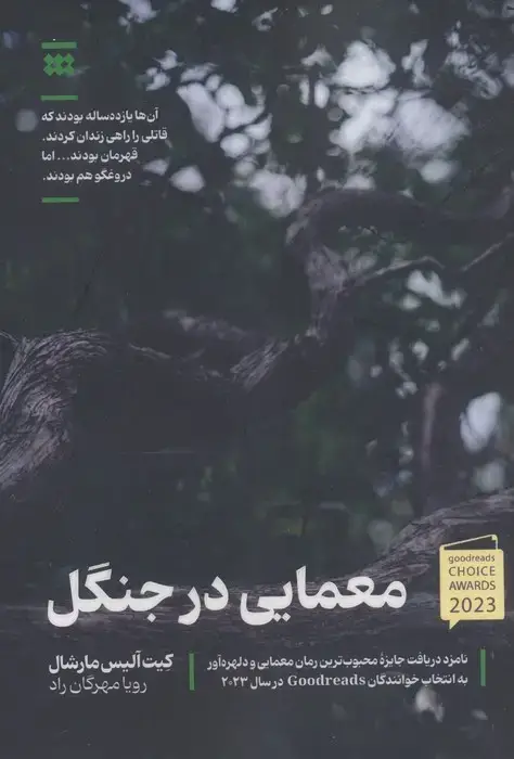جلد کتاب معمایی در جنگل ( آن ها 11 ساله بودند که قاتلی را راهی زندان کردند.قهرمان بودند...اما دروغگو هم بودند