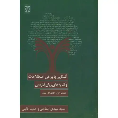 جلد کتاب برخی اصطلاحات و کنایه های زبان فارسی