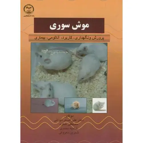 جلد کتاب موش سوری،تهرانی،جهادارومیه