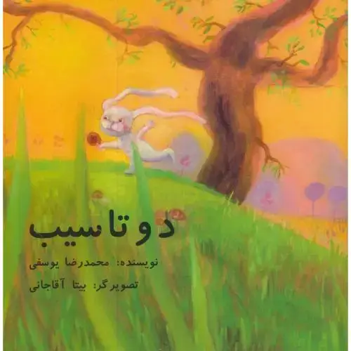 جلد کتاب دو تا سیب ، یوسفی ، ناردونه