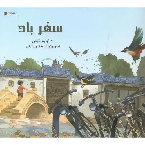 جلد کتاب سفر باد ، محرابی ، ناردونه