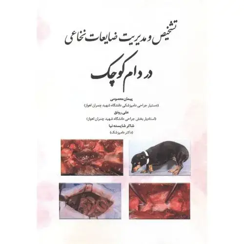 جلد کتاب تشخیص و مدیریت ضایعات نخاعی در دام کوچک ، معصومی