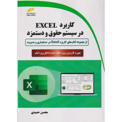 جلد کتاب کاربرد EXCEL در سیستم حقوق و دستمزد ، حمیدی ، دیباگران