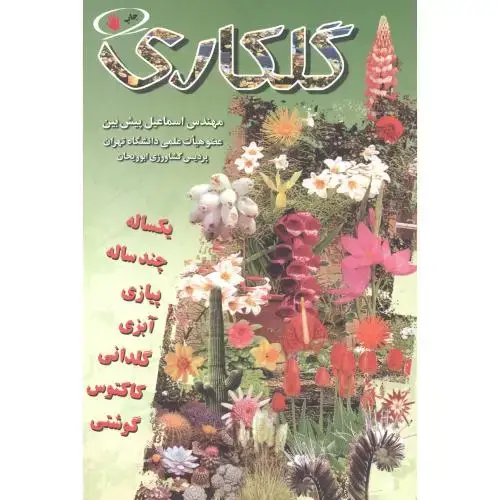 جلد کتاب گلکاری ، پیش بین ، آییژ