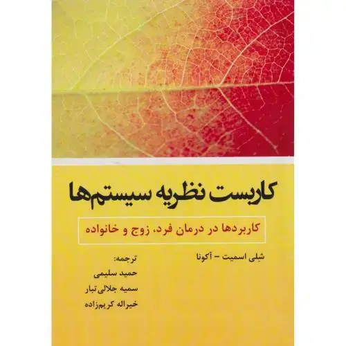 جلد کتاب کاربست نظریه سیستم ها ، سلیمی