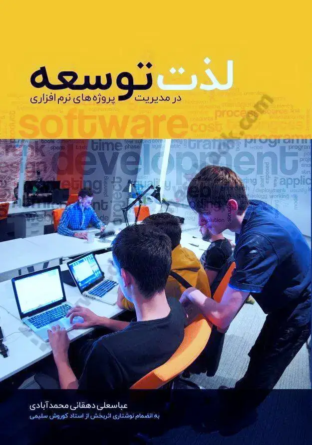 جلد کتاب لذت توسعه