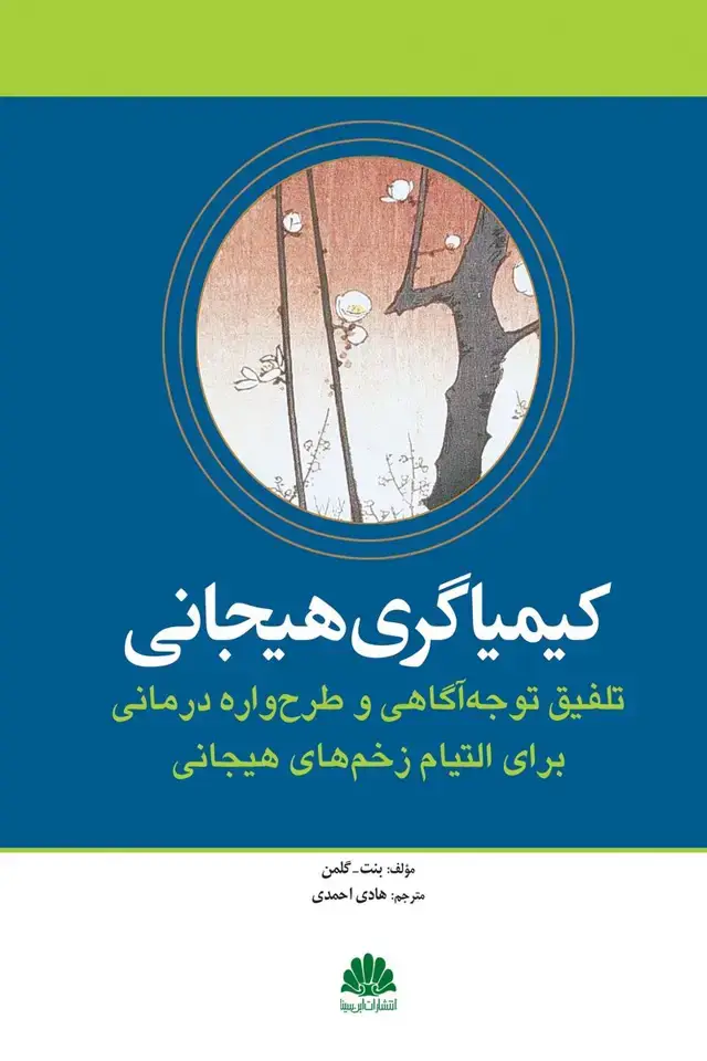 جلد کتاب کیمیاگری هیجانی