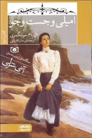 جلد کتاب امیلی و جست و جو