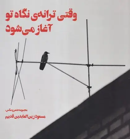 جلد کتاب وقتی ترانه ی نگاه تو آغاز می شود