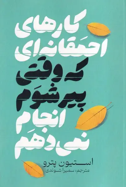 جلد کتاب کارهای احمقانه ای که وقتی پیر می شوم انجام نمی دهم