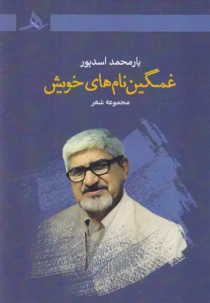 جلد کتاب غمگین نام های خویش