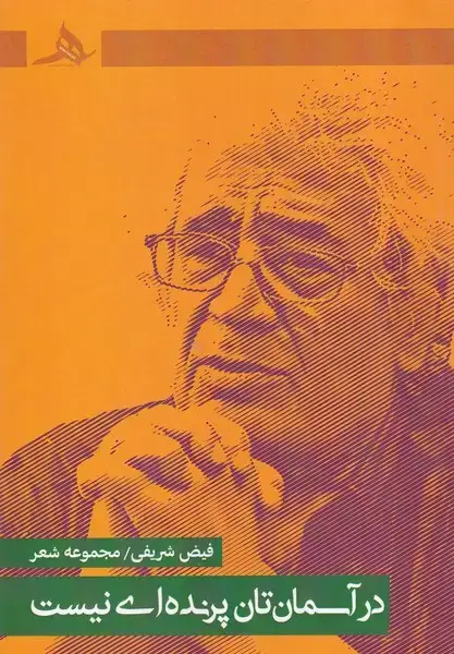 جلد کتاب در آسمان تان پرنده ای نیست