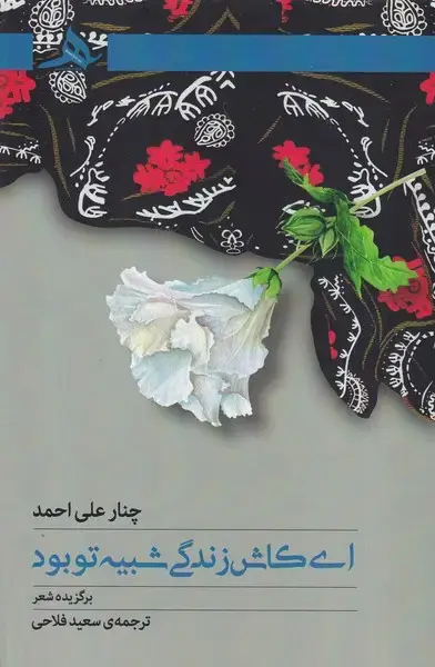 جلد کتاب ای کاش زندگی شبیه تو بود