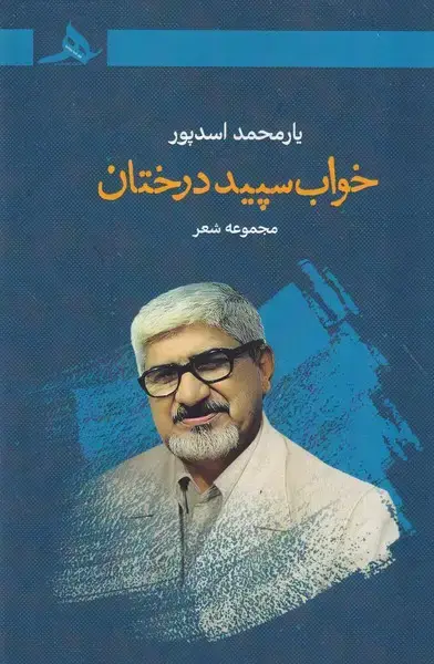 جلد کتاب خواب سپید درختان