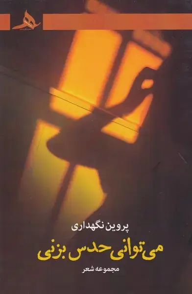جلد کتاب می توانی حدس بزنی