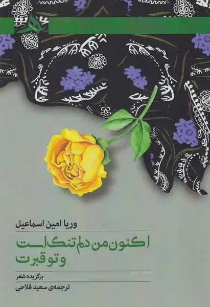 جلد کتاب اکنون من دلم تنگ است و تو قبرت