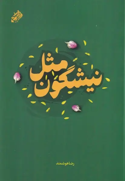 جلد کتاب مثل نیشگون