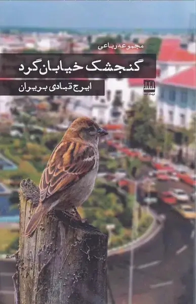 جلد کتاب گنجشک خیابان گرد