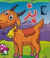 جلد کتاب فومی بز