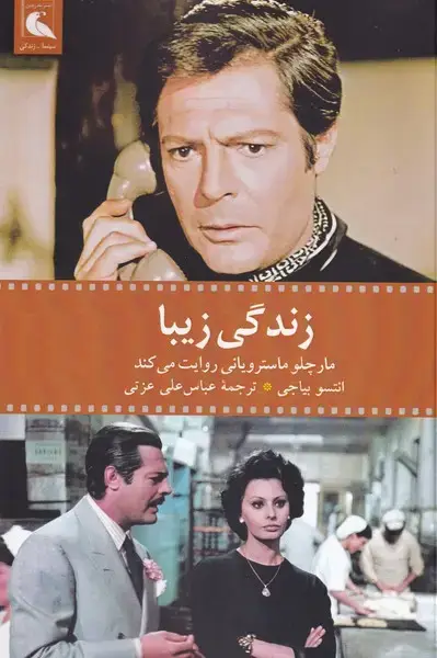 جلد کتاب زندگی زیبا