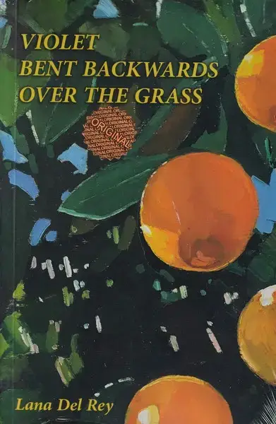 جلد کتاب VIOLET BENT BACKWARDS OVER THE GRASS بنفشه روی چمن وارونه شد