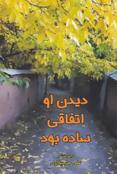 جلد کتاب دیدن او اتفاقی ساده بود