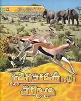 جلد کتاب کاوشگران جوان دنیای شگفت انگیز حیوانات