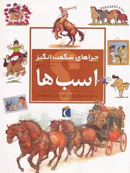 جلد کتاب چراهای شگفت انگیز اسب ها اثر جکی جاف