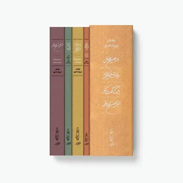 جلد کتاب نجف دریابندری (مجموعه‌4جلدی با قاب)