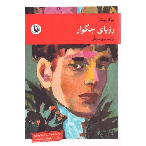 جلد کتاب رویای جگوار