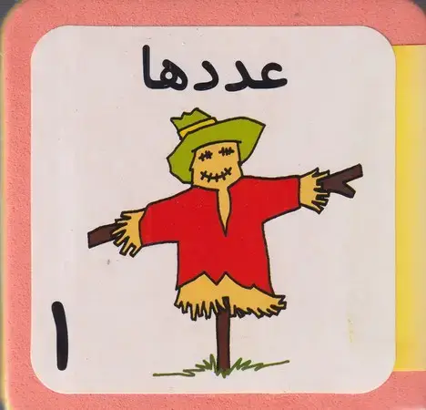 جلد کتاب عددها