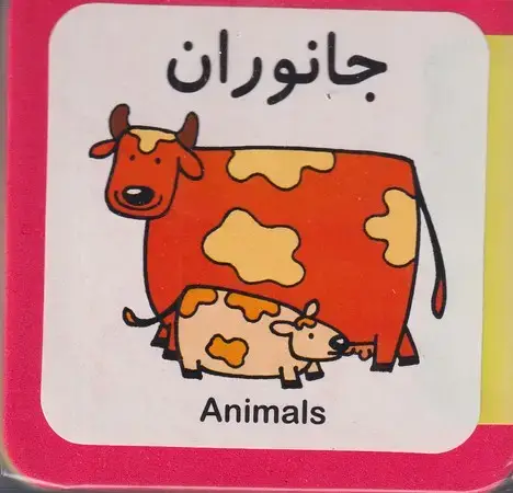 جلد کتاب جانوران