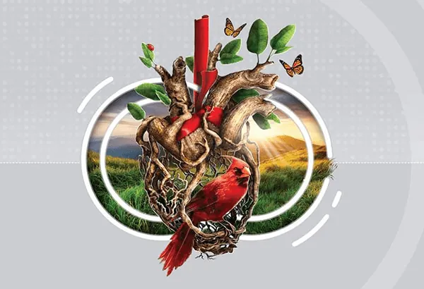 کتاب آموزش خط 4 جلدی گرمارودی آموزش خط 4جلدی گرمارودی