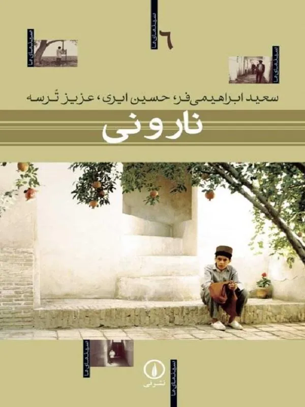 نار و نی