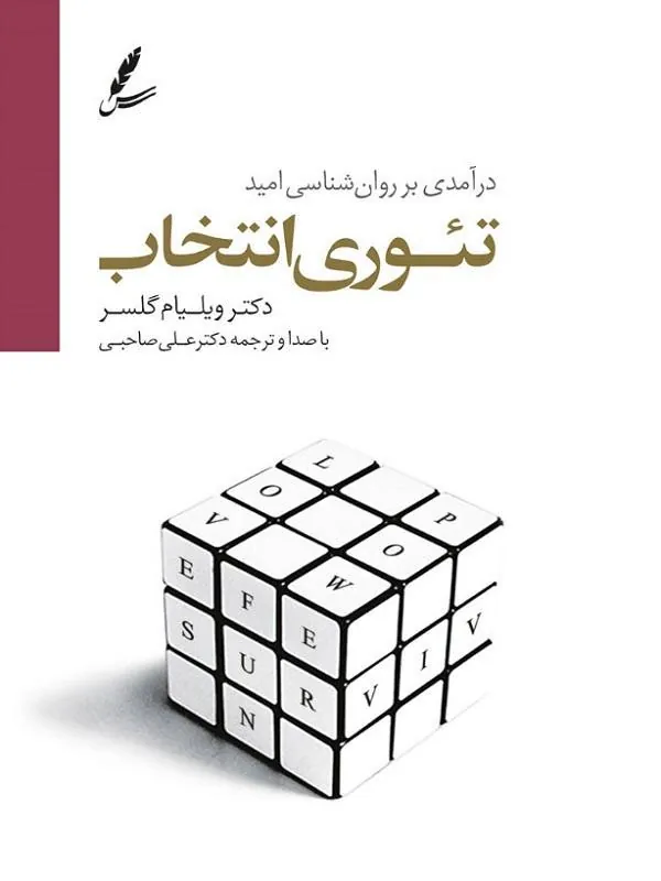 صوتی تئوری انتخاب