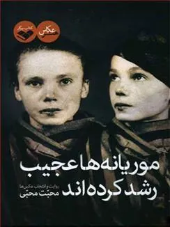 کتاب موریانه ها عجیب رشد کرده اند