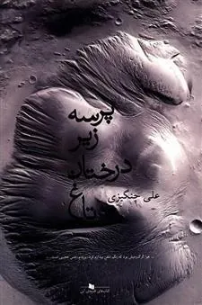 کتاب پرسه زیر درختان تاغ