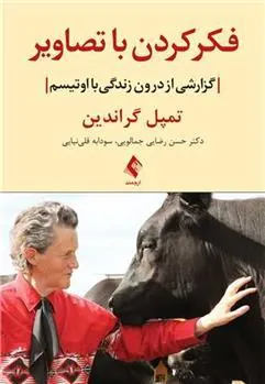 کتاب فکر کردن با تصاویر