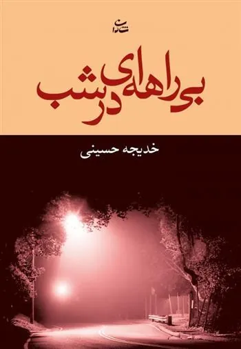 کتاب بی راهه ای در شب
