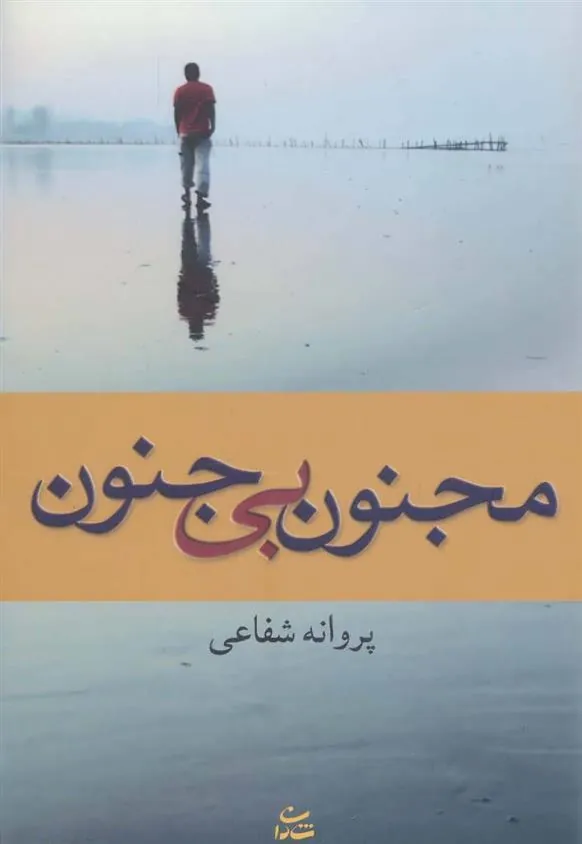 کتاب مجنون بی جنون