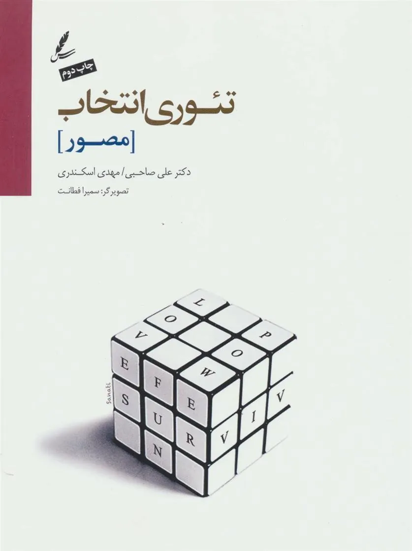 تئوری انتخاب (مصور)