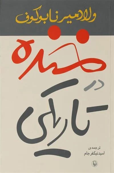 خنده در تاریکی