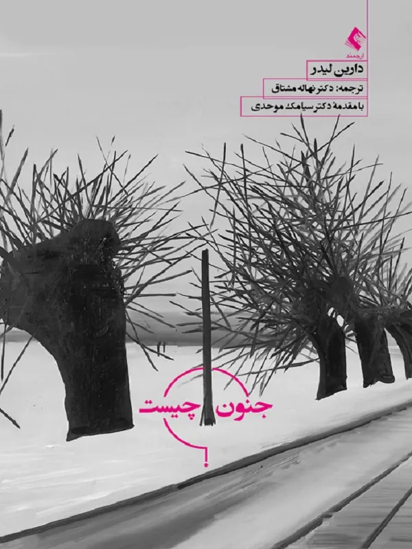 کتاب جنون چیست؟