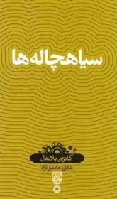کتاب سیاهچاله ها